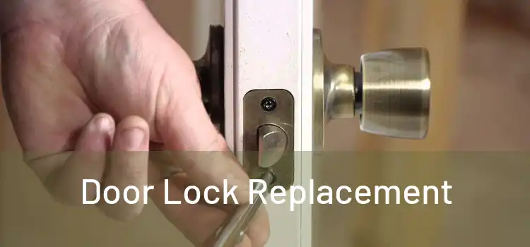  Door Lock Replacement 